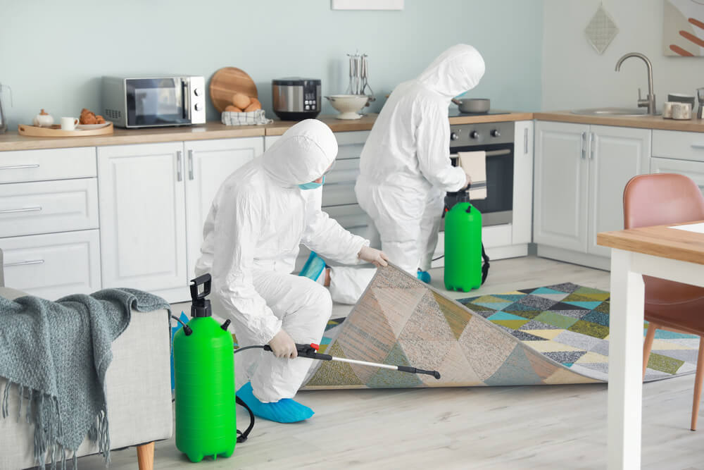 Fumigation Pest Control (1) Fumigation Pest Control