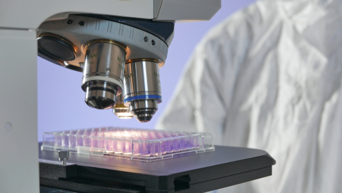 legionella microscope legionella microscope