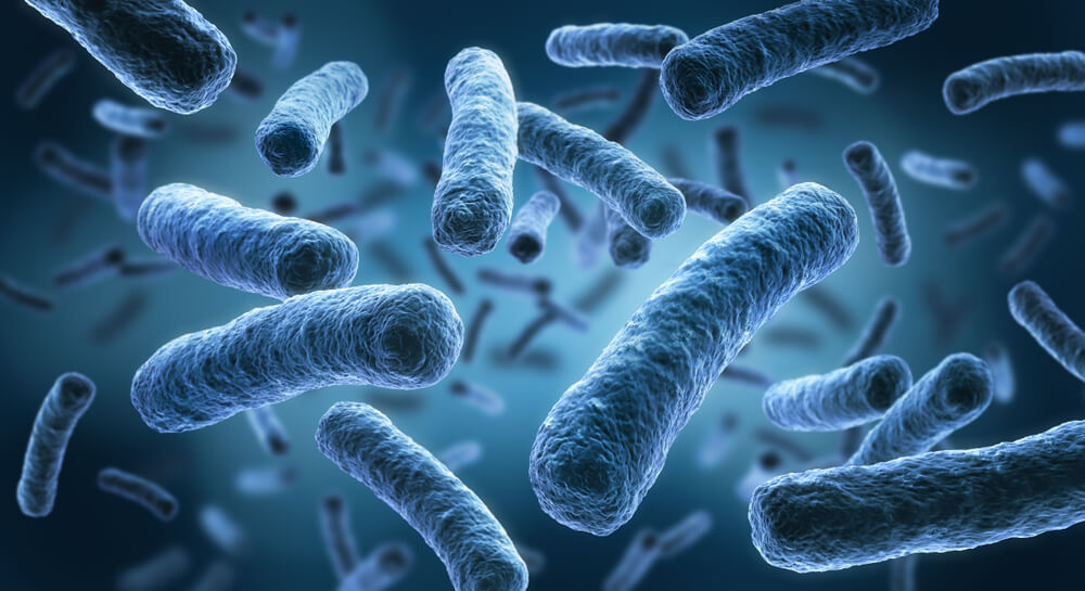 Legionella Bacteria and the role of temperature